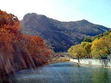 澳门二四六天天彩图库，樱花吸油烟机价格